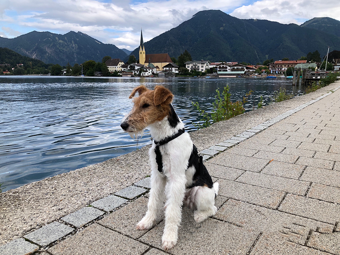 Vermietung Ferienhaus am Tegernsee Rottach-Egern hundefreundlich